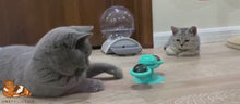 Charger et lire la vidéo dans la visionneuse de la Galerie, Chat Moulin™ - Jouet + Massage Dents et Visage
